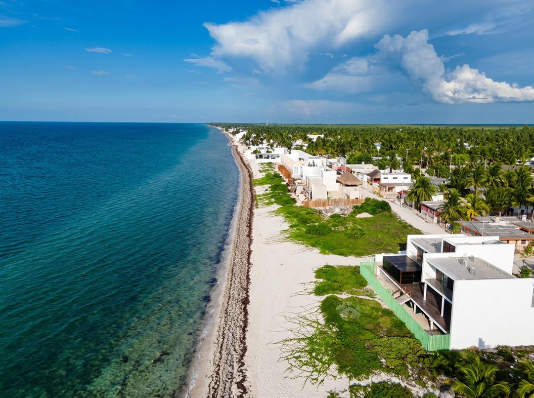 Manglares y playa en Yucatán