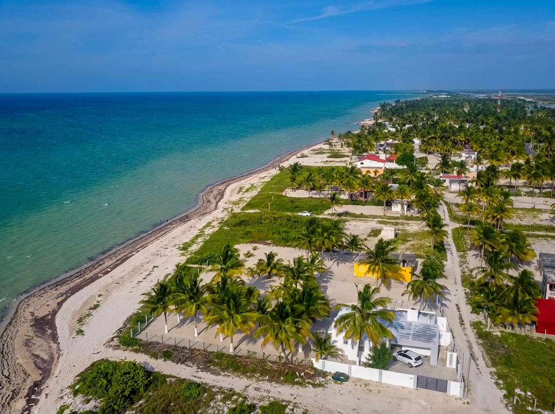 Manglares en San Crisanto, Yucatán